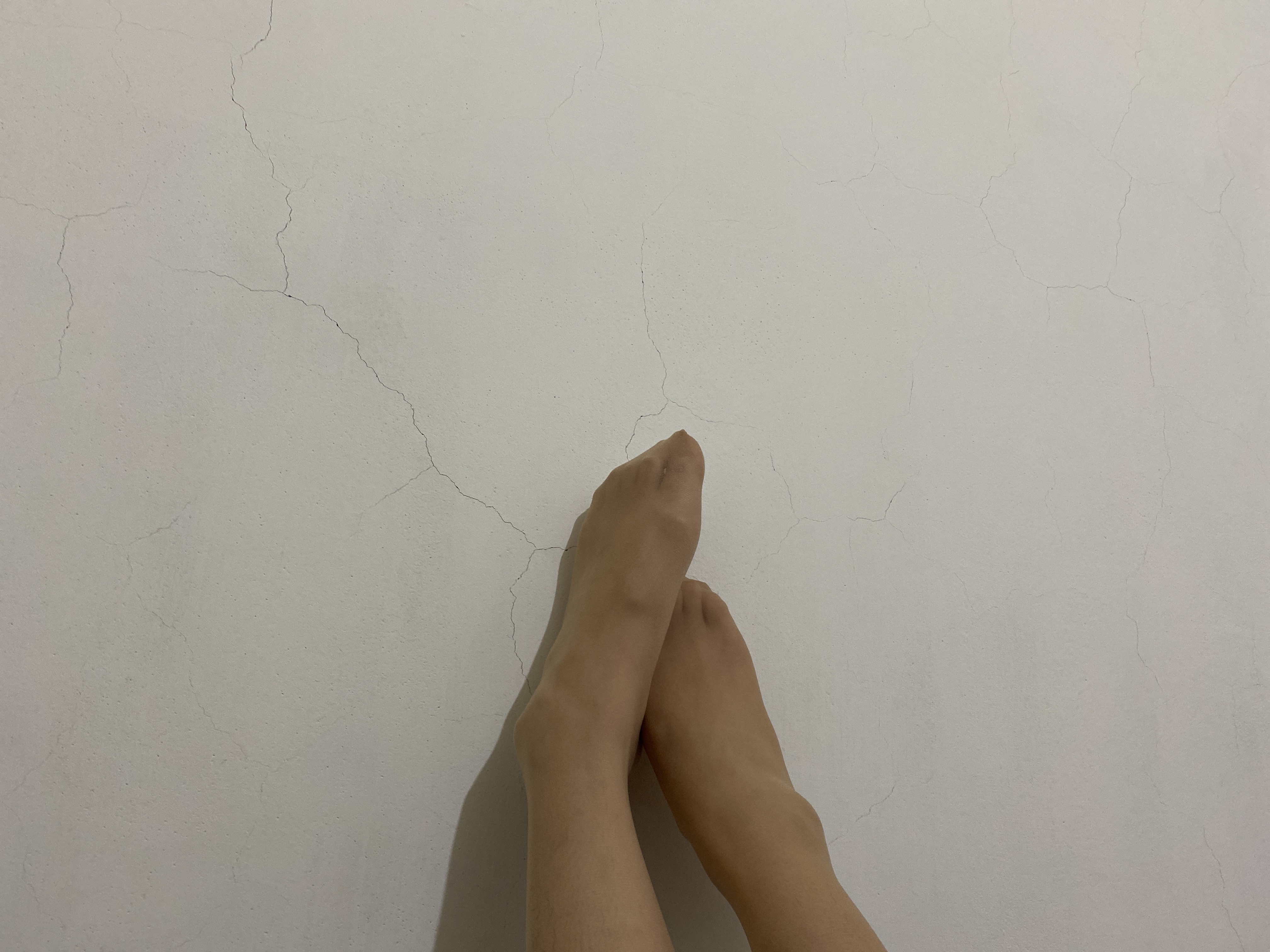 不挑款原味小襪襪、絲襪