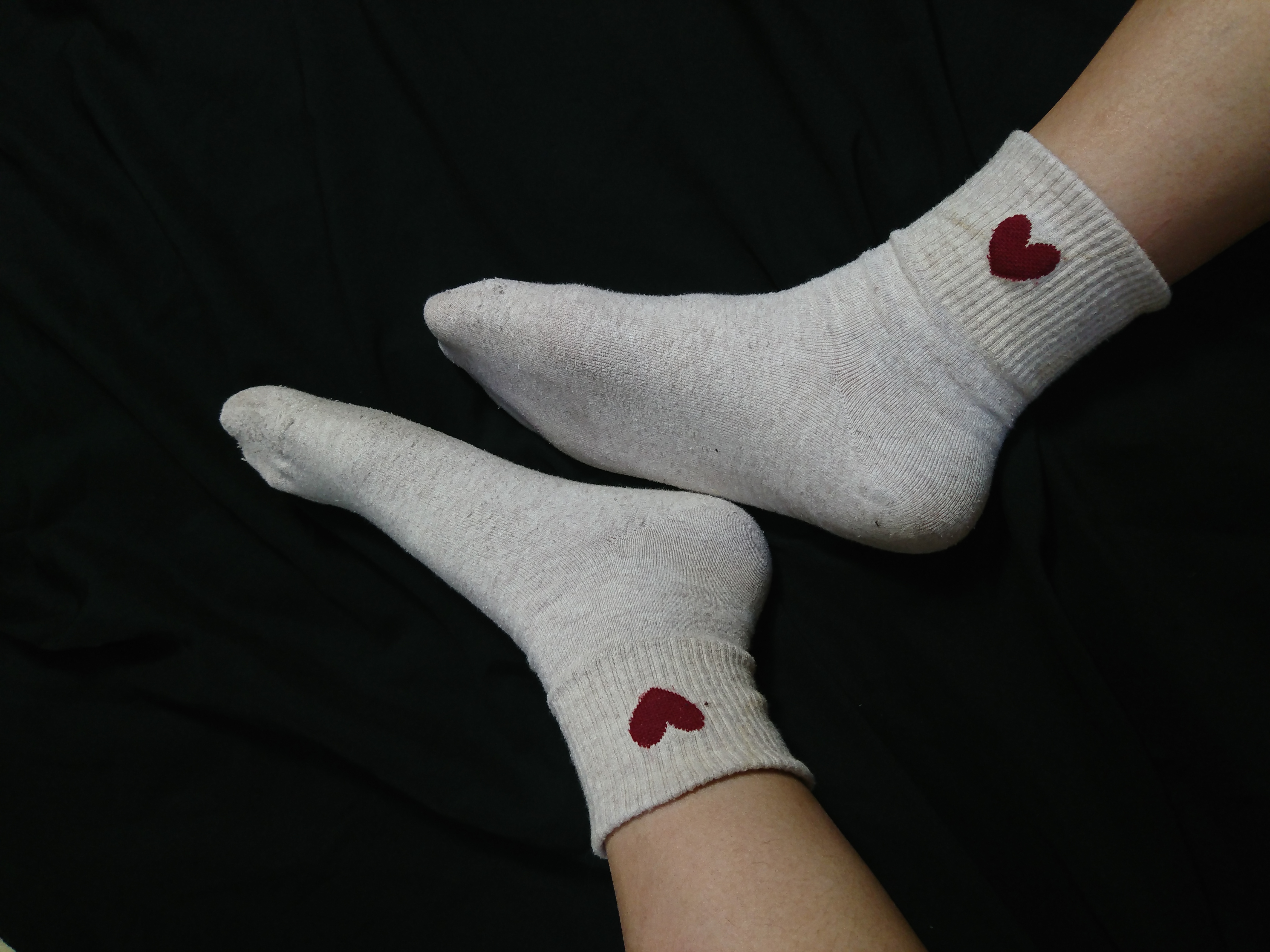 sold out (ΦωΦ) 小貓貓の第一次 (ΦωΦ)