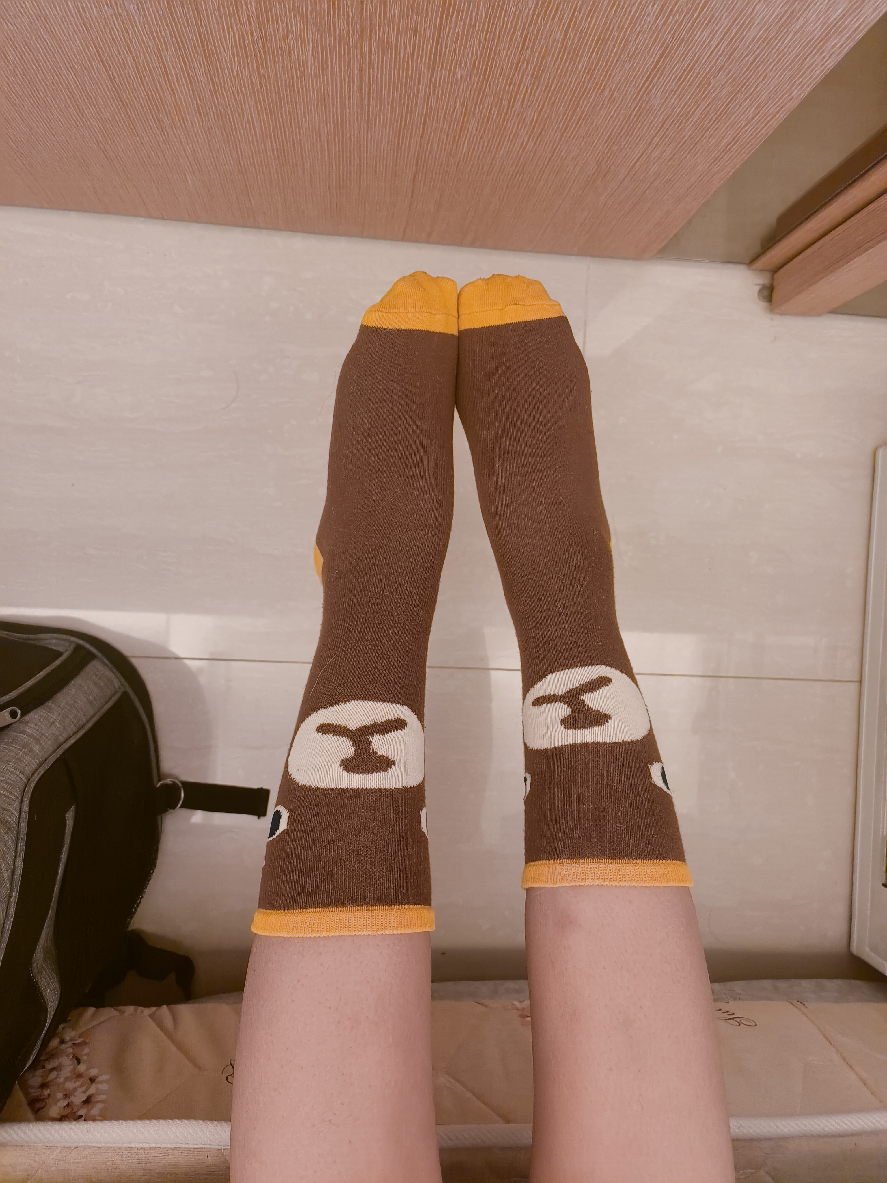 熊熊襪