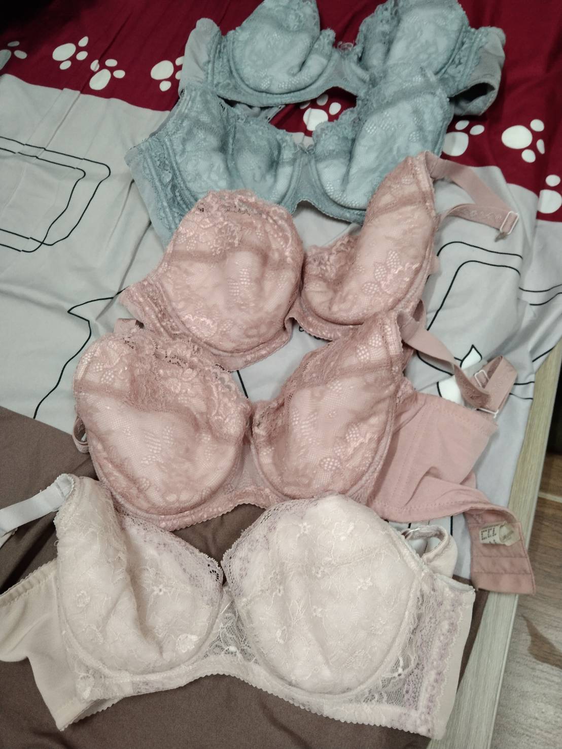 原味內衣 (不挑款)