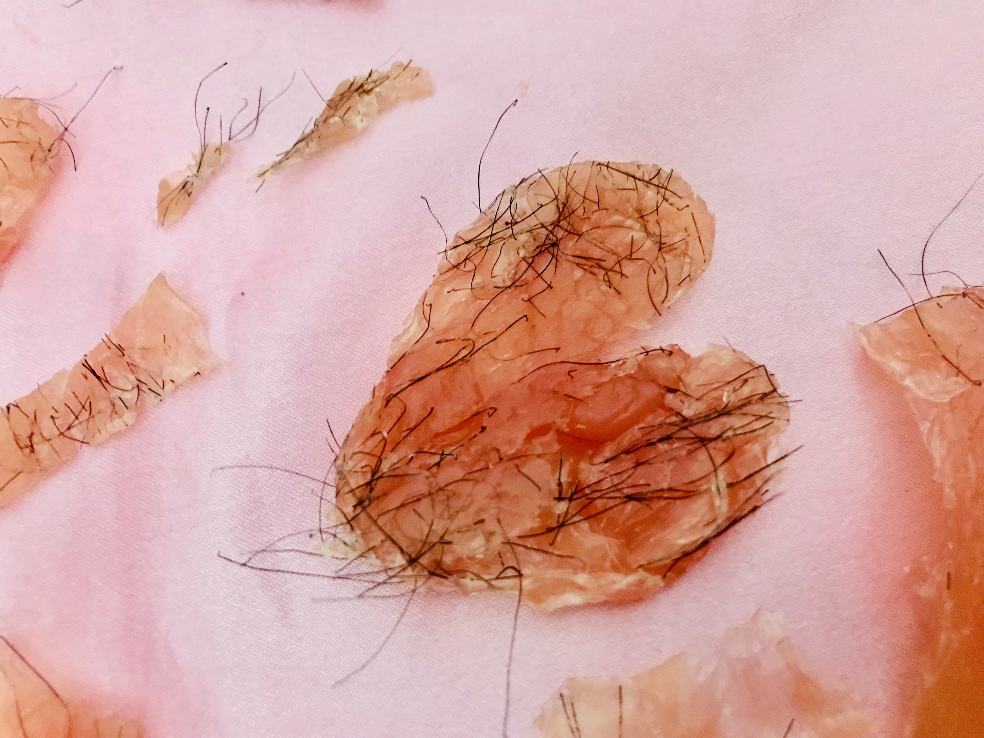 ?蜜蠟脫毛?限量商品?