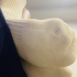 獨一無二的運動長襪